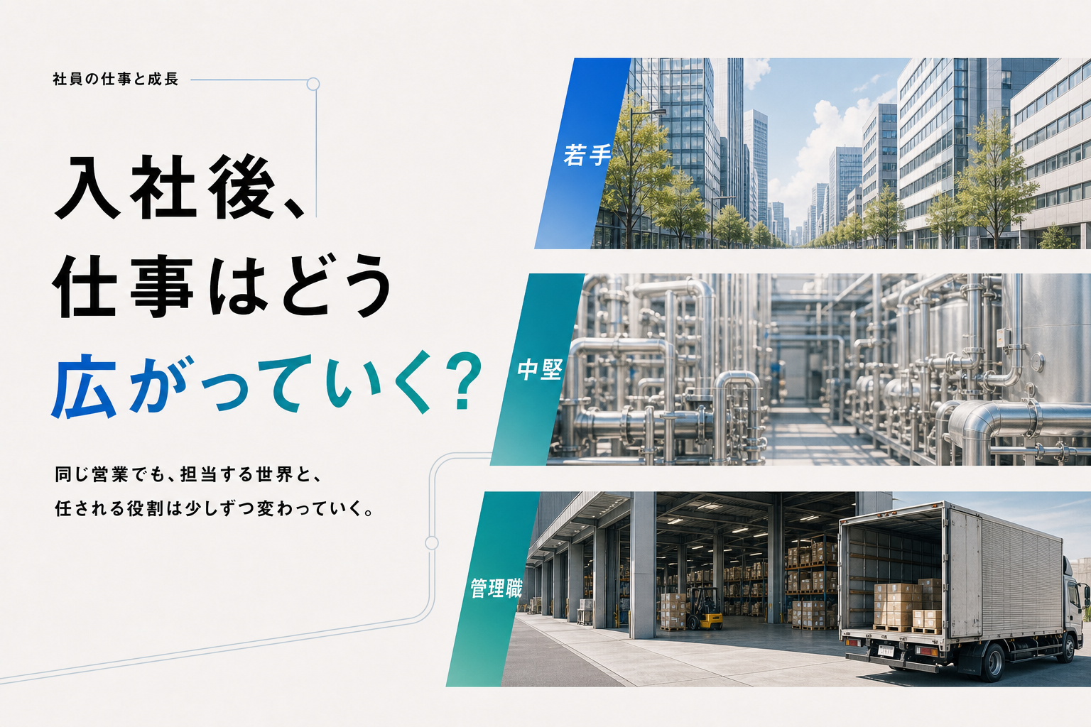 入社後、仕事はどう広がっていく？